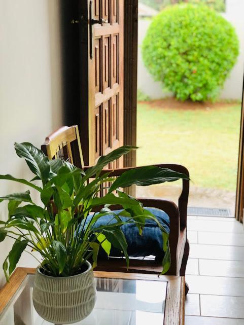 Danville Forest Guest House & Apartments 다반 외부 사진